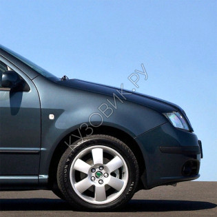 Крыло переднее правое в цвет кузова Skoda Fabia Mk1 (2000-2006)